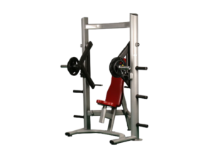 Fusce nec diam et dolor