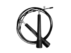 Suspendisse gravida lacus varius