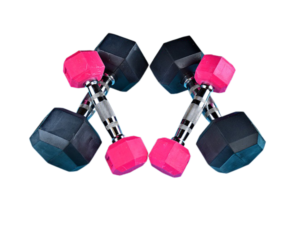 Fusce ullamcorper dapibus