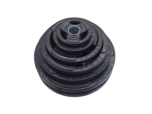 Cras viverra rhoncus