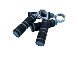 Phasellus varius turpis